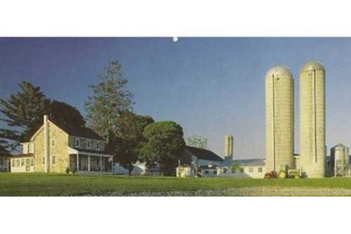 Meadow Springs Farm