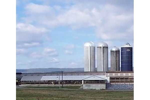Morrison Cove Silo